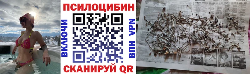 Галлюциногенные грибы мицелий  Купить где  Учалы 